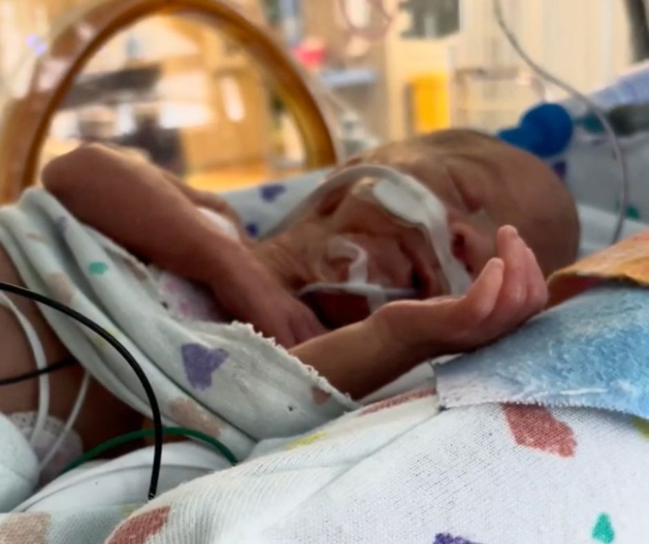 Teddy, who passed away from NEC