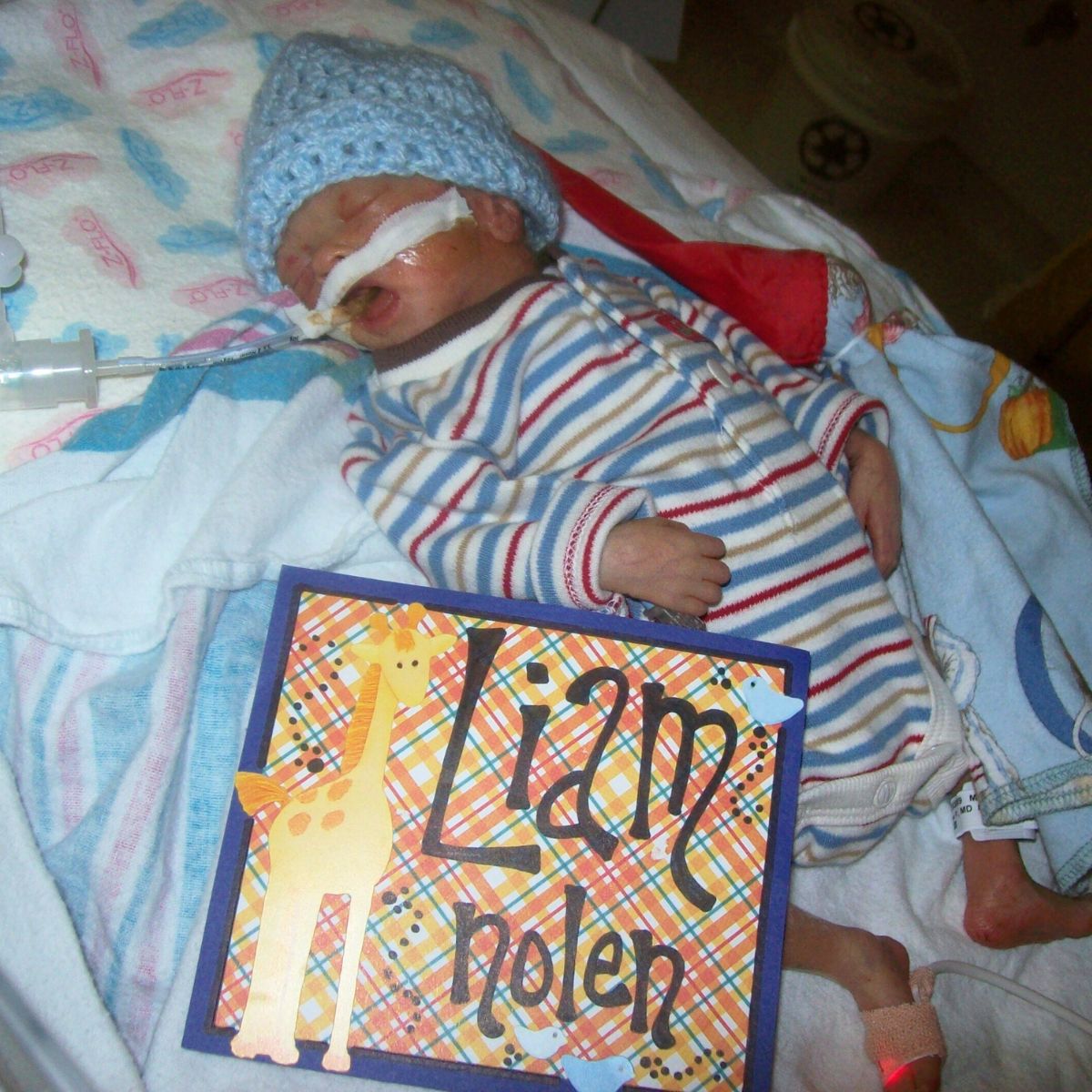 Liam (2)