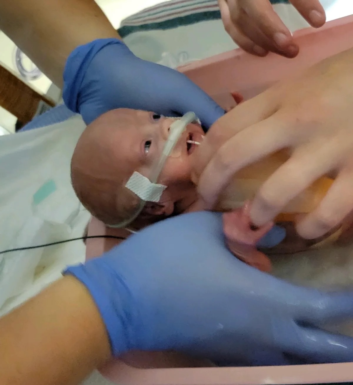 Nora getting bath in NICU