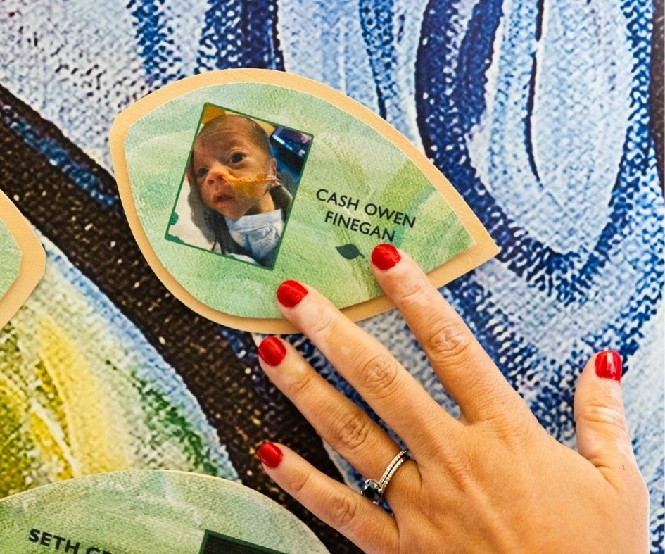 picture of Cash on tree of courage wall