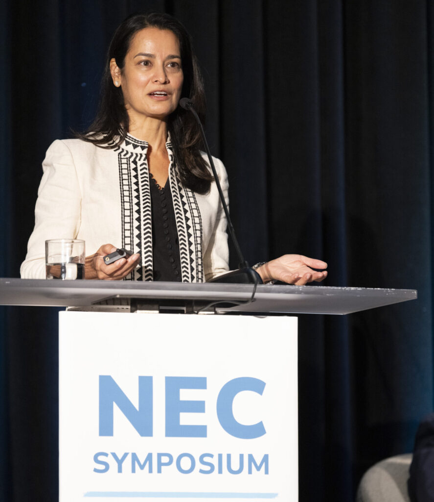 woman presenting at NEC Symposium