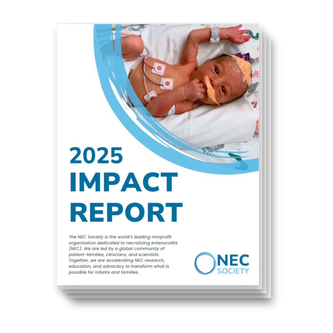 graphic of the 2025 impact report